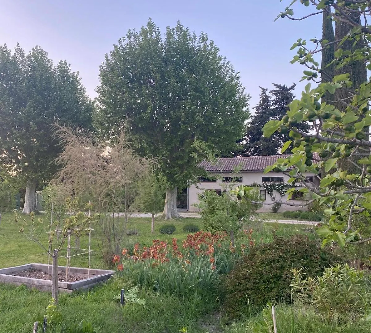 Petite Maison En Drome Provencale Tulette