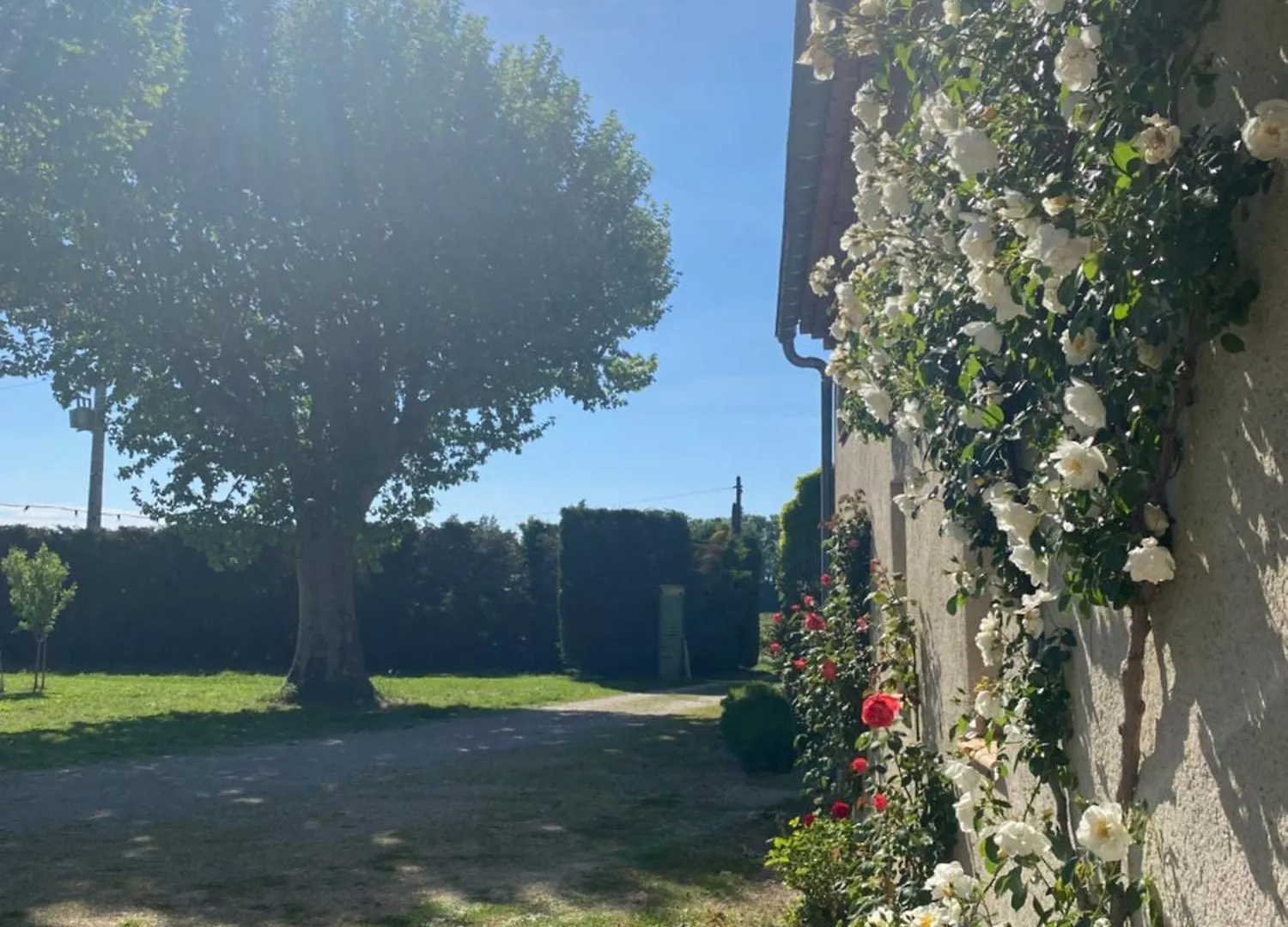 Petite Maison En Drome Provencale Tulette 0*,